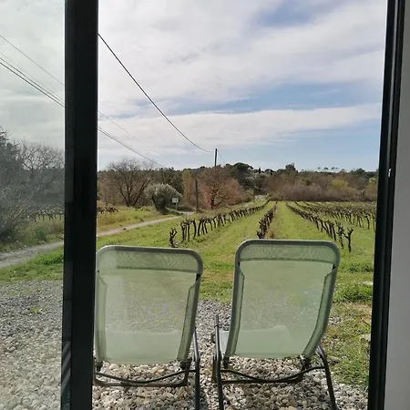 Conteneur Avec Spa Prive Face Aux Vignes Massillargues-Attuech Exterior foto