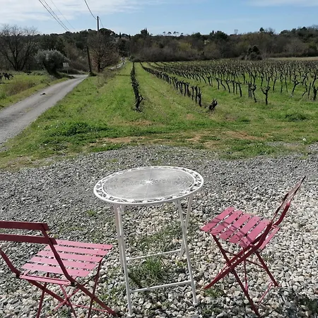 Conteneur Avec Spa Prive Face Aux Vignes Massillargues-Attuech Exterior foto
