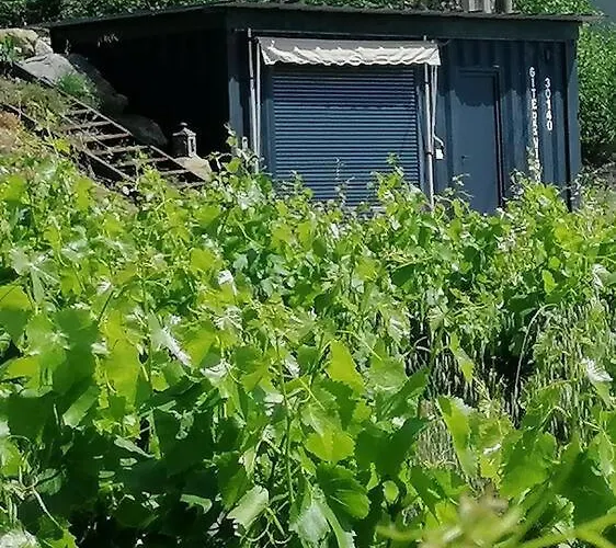 Conteneur Avec Spa Prive Face Aux Vignes