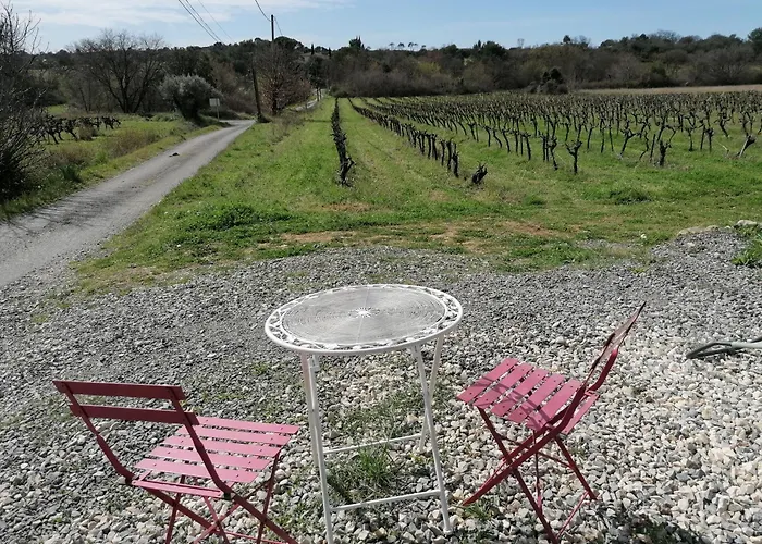 Conteneur Avec Spa Prive Face Aux Vignes