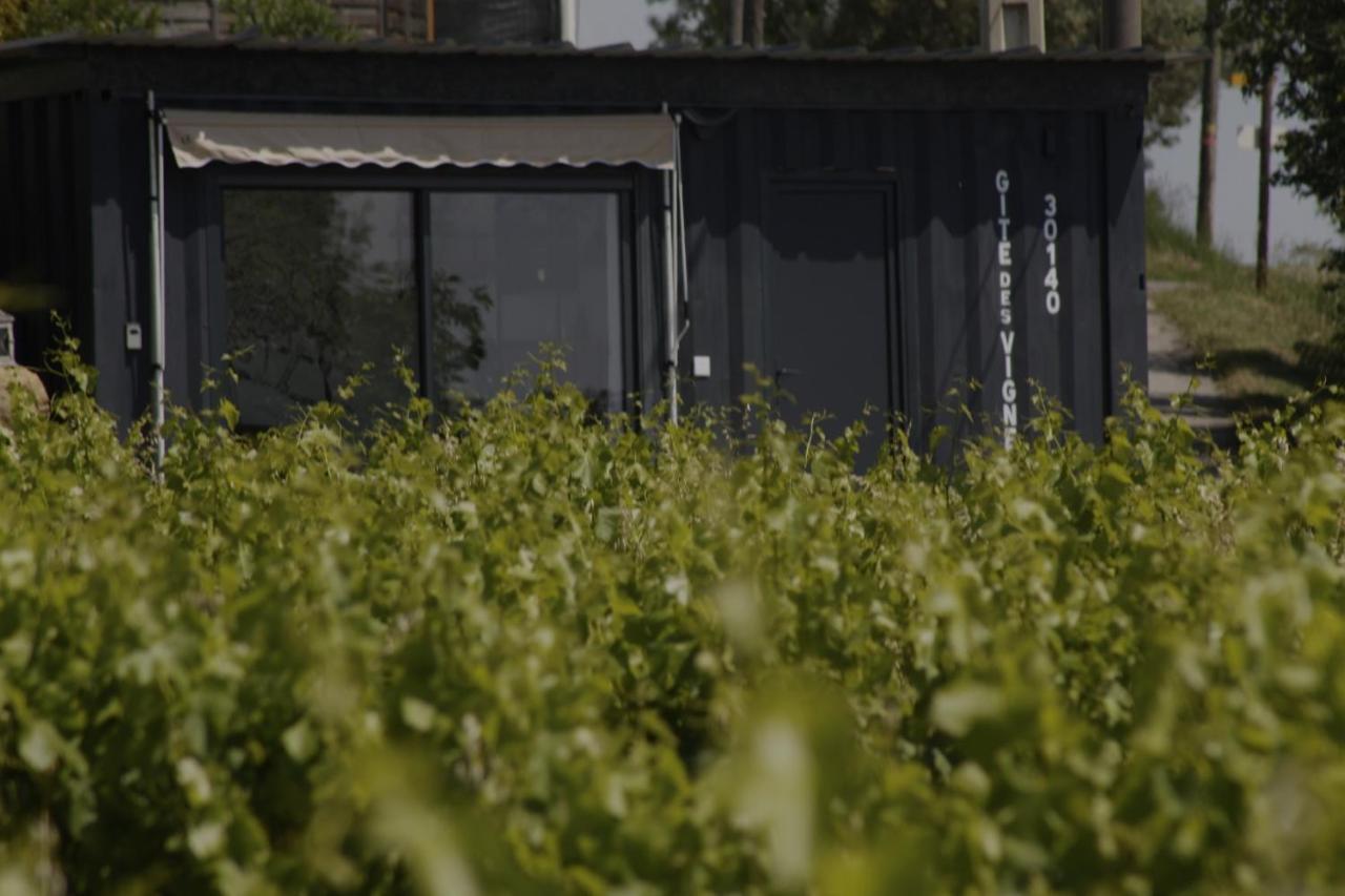 Conteneur Avec Prive Face Aux Vignes Massillargues-Attuech