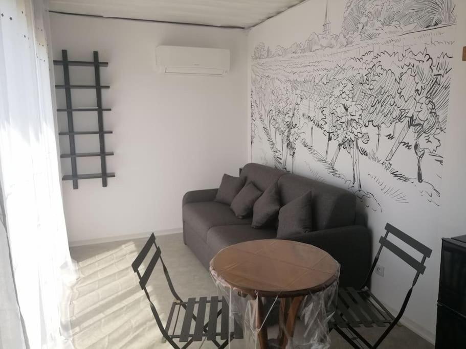 Conteneur Avec Prive Face Aux Vignes Apartment *