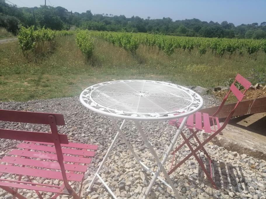 Conteneur Avec Prive Face Aux Vignes Appartamento