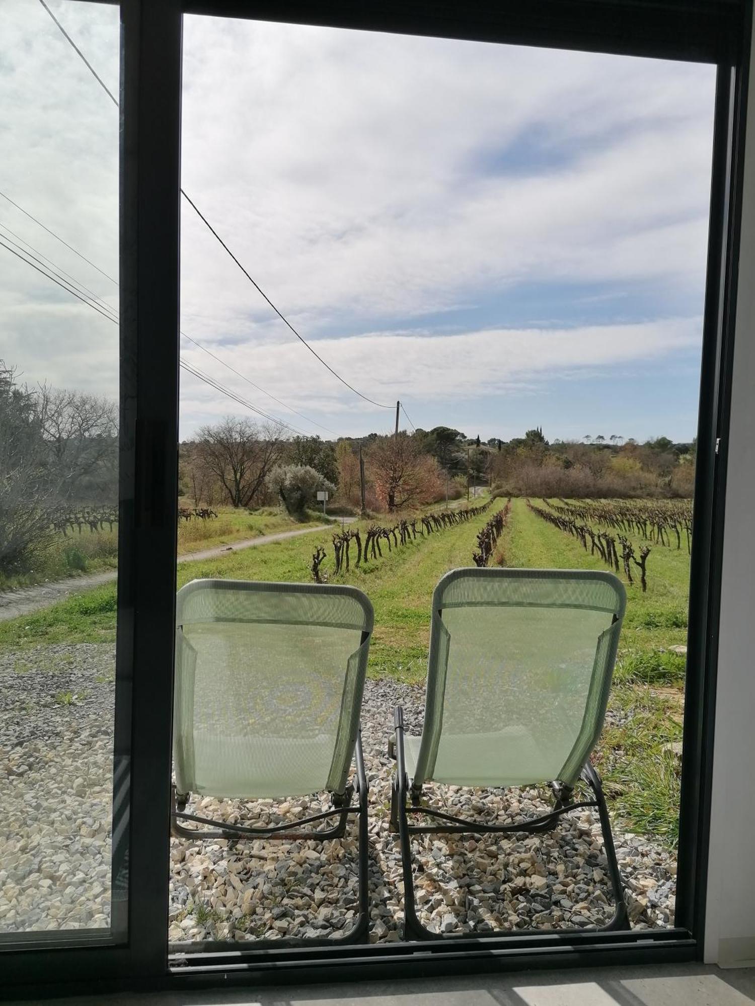 Conteneur Avec Prive Face Aux Vignes *