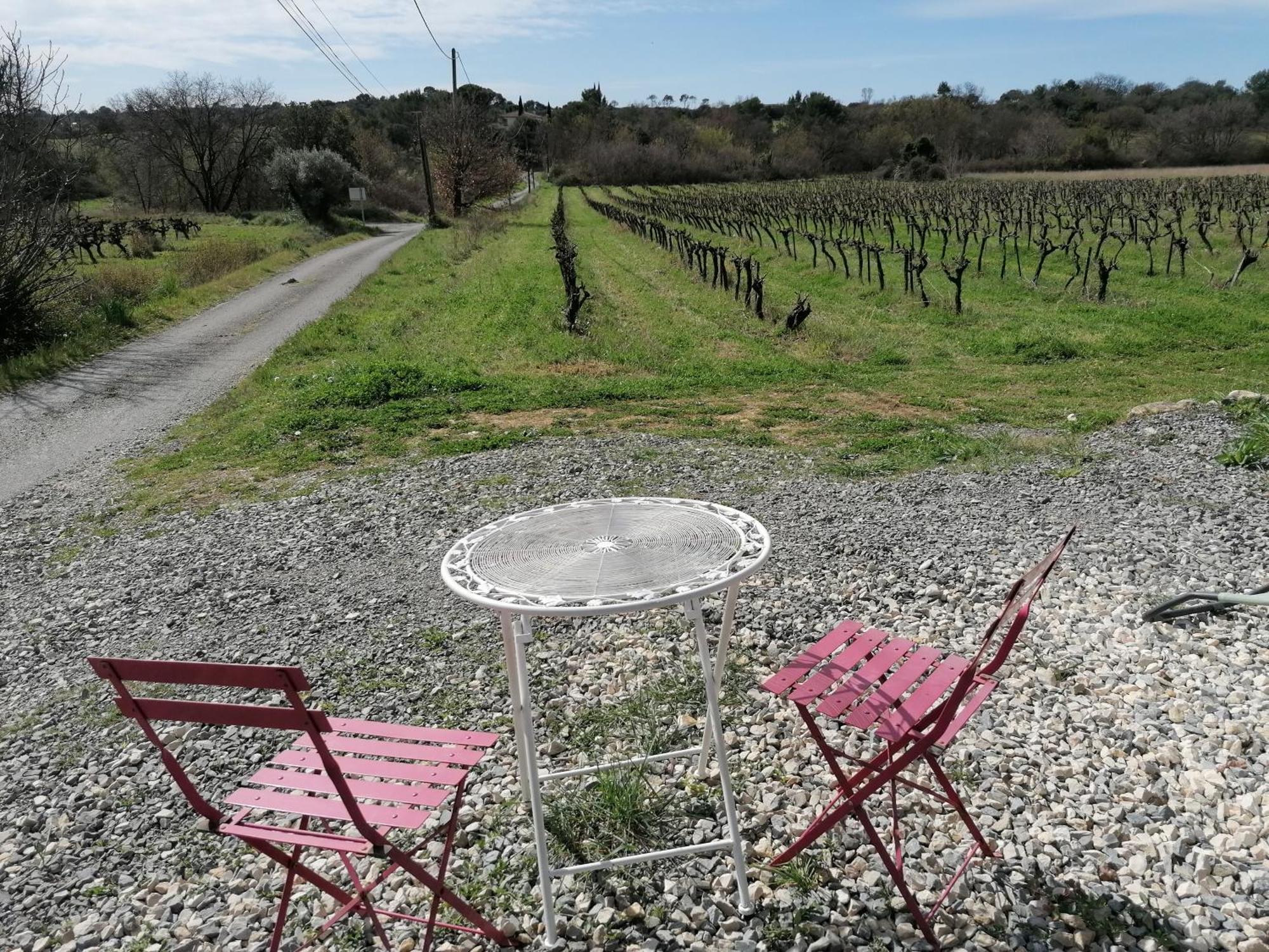 Conteneur Avec Prive Face Aux Vignes Appartamento *