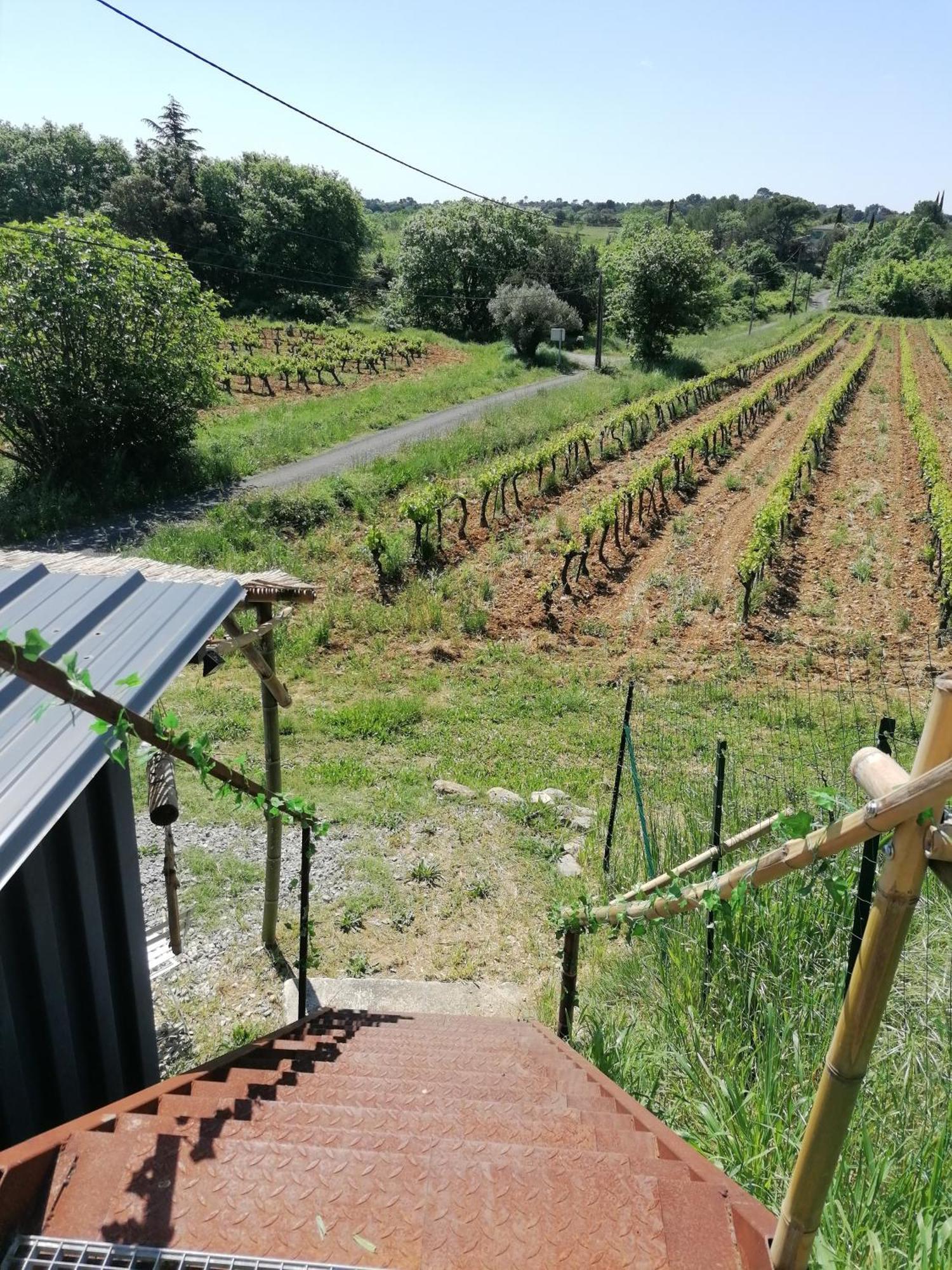 Conteneur Avec Prive Face Aux Vignes